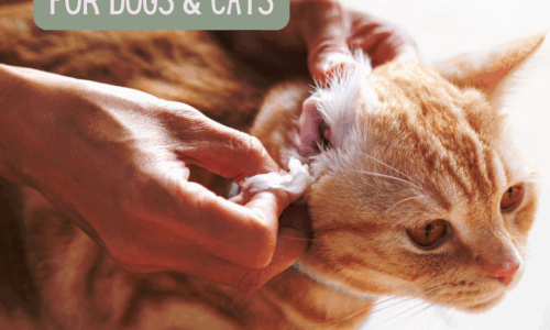 Ear Care