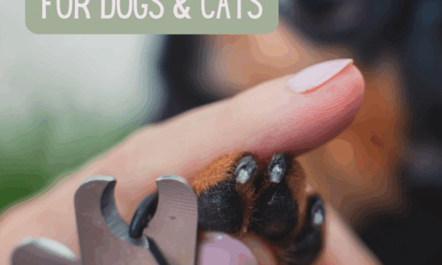 Nail Care